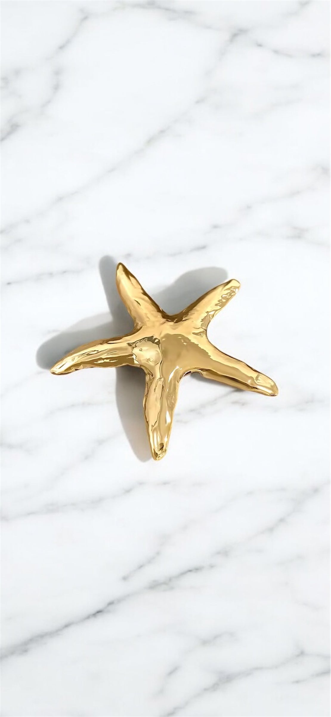 Broche ÉTOILE DE MER